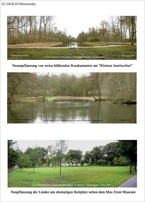 017 Park-Neue Bepflanzung